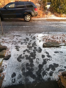 Iced over driveway this morning. Didn't get much better throughout the day. 